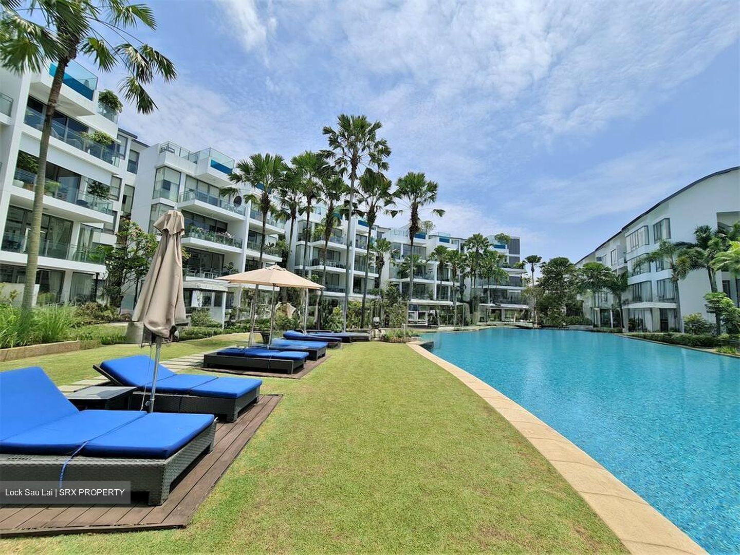 Marina Collection (D4), Condominium #500253031